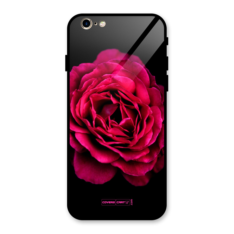 Magical Rose Glass Back Case for iPhone 6 6S