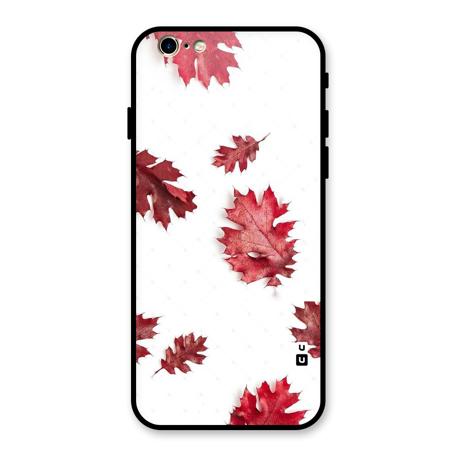 Red Appealing Autumn Leaves Glass Back Case for iPhone 6 6S