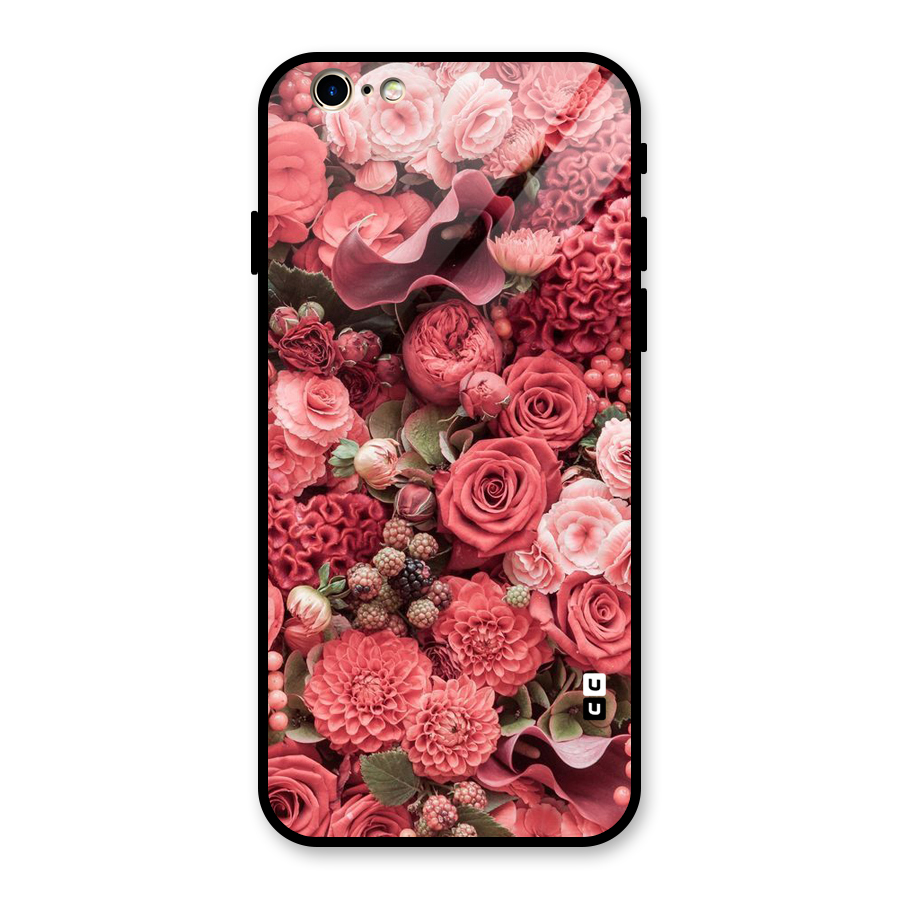 Shades Of Peach Glass Back Case for iPhone 6 6S