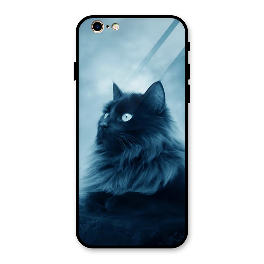 Wild Forest Cat Glass Back Case for iPhone 6 6S