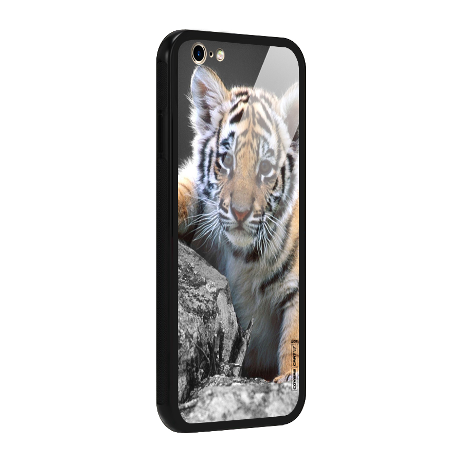 Animal Beauty Glass Back Case for iPhone 6 6S