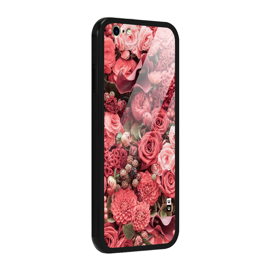 Shades Of Peach Glass Back Case for iPhone 6 6S