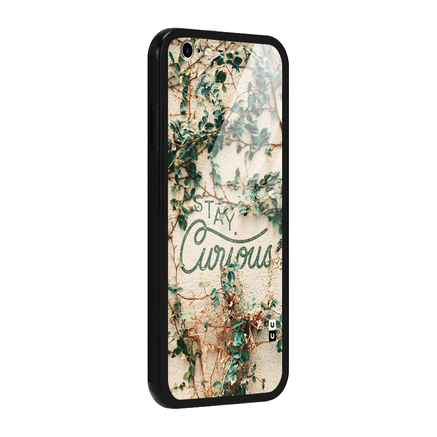 Stay Curious Glass Back Case for iPhone 6 6S