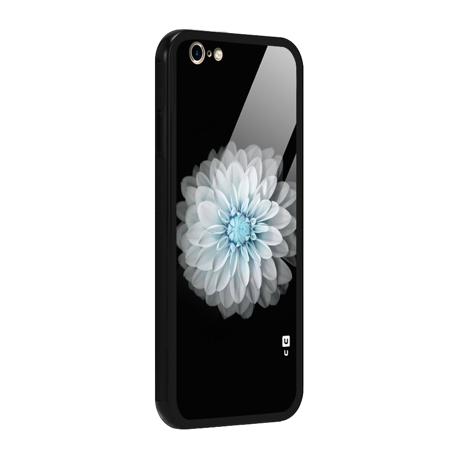 White Bloom Glass Back Case for iPhone 6 6S