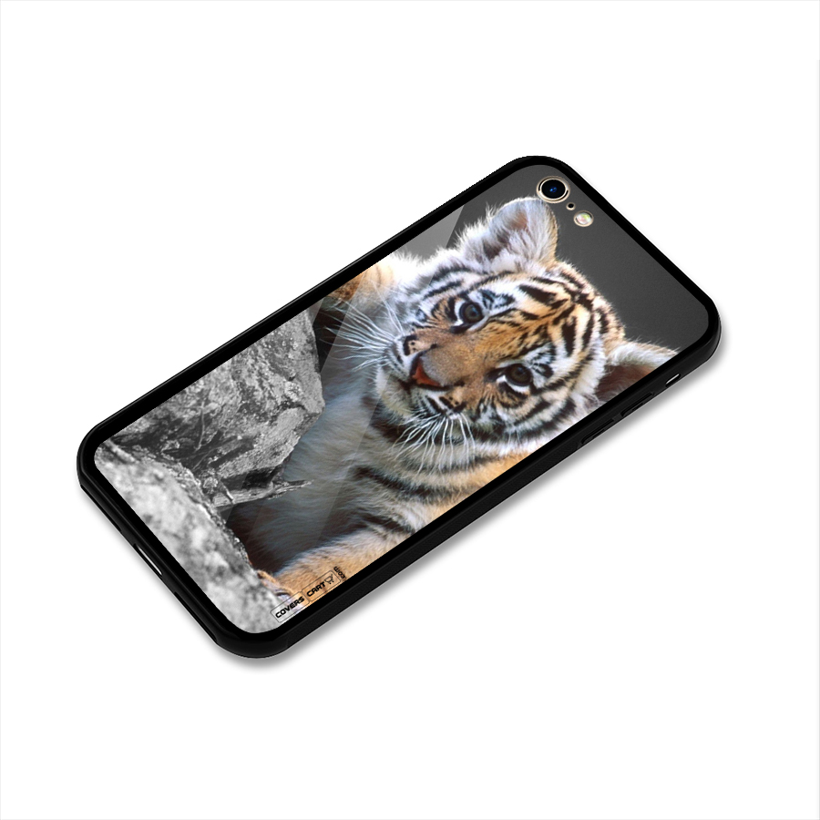 Animal Beauty Glass Back Case for iPhone 6 6S