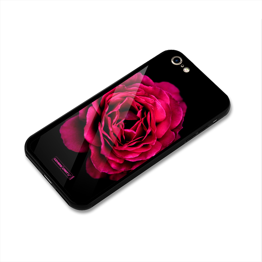 Magical Rose Glass Back Case for iPhone 6 6S