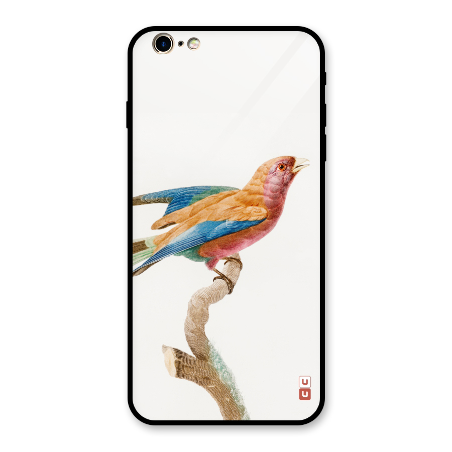 Beautiful Bird Glass Back Case for iPhone 6 Plus 6S Plus