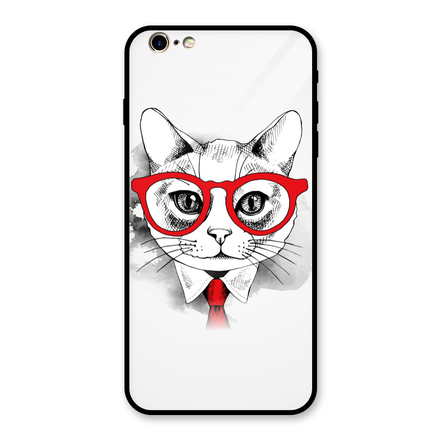 Business Cat Glass Back Case for iPhone 6 Plus 6S Plus