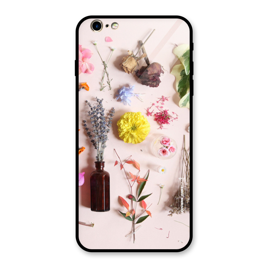 Old Petals Glass Back Case for iPhone 6 Plus 6S Plus