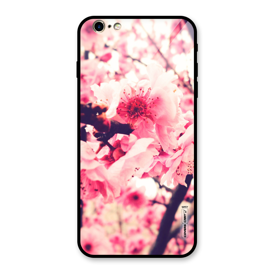 Pretty Pink Flowers Glass Back Case for iPhone 6 Plus 6S Plus