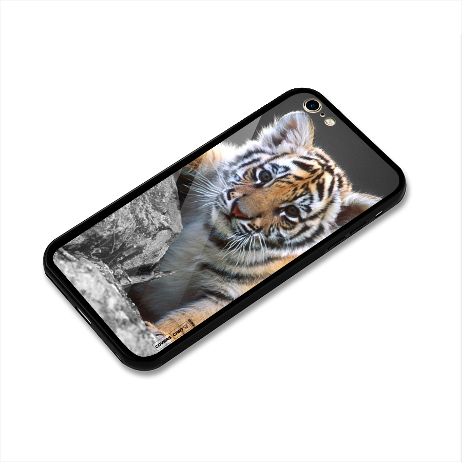 Animal Beauty Glass Back Case for iPhone 6 Plus 6S Plus
