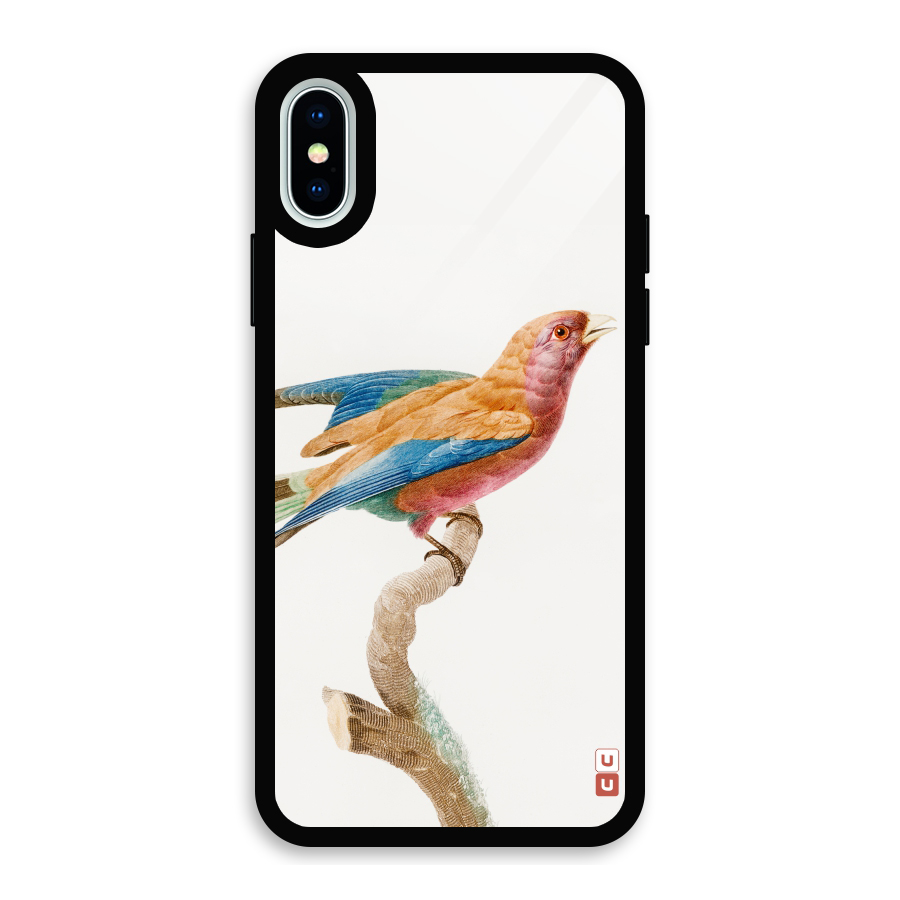 Beautiful Bird Glass Back Case for iPhone X