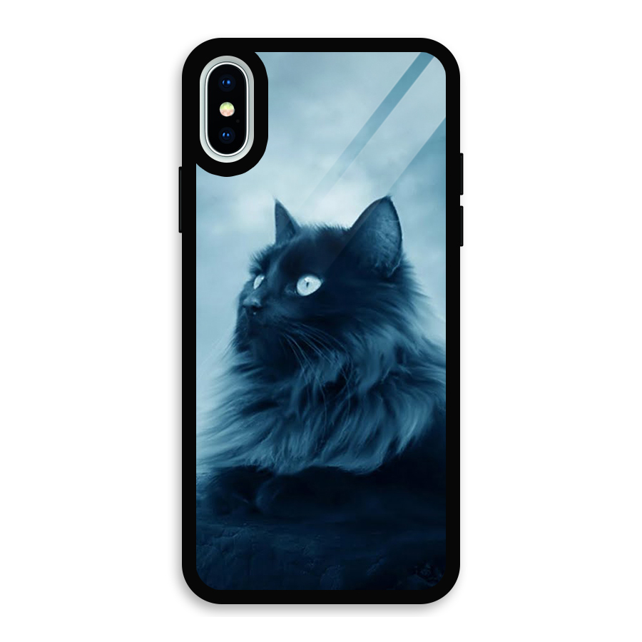 Wild Forest Cat Glass Back Case for iPhone X