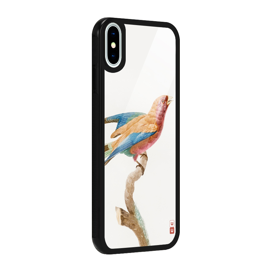 Beautiful Bird Glass Back Case for iPhone X