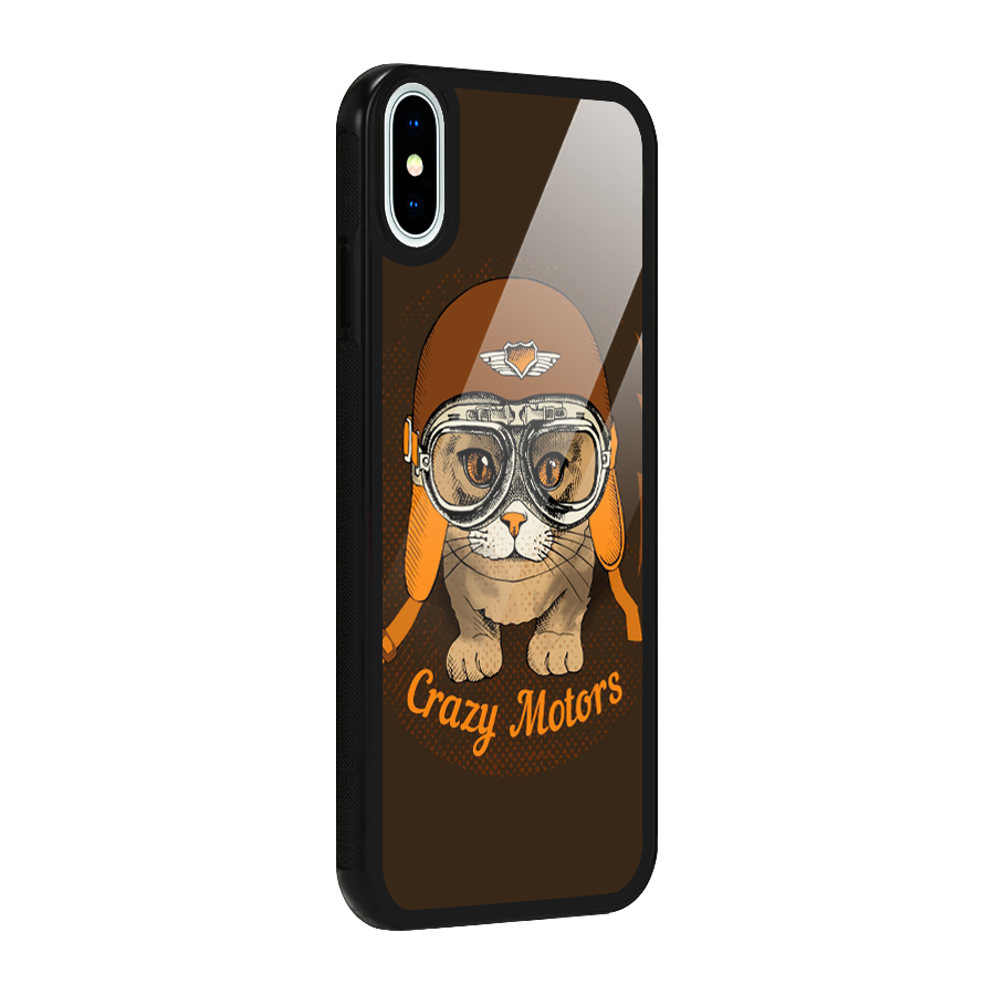 Crazy cat Glass Back Case for iPhone X