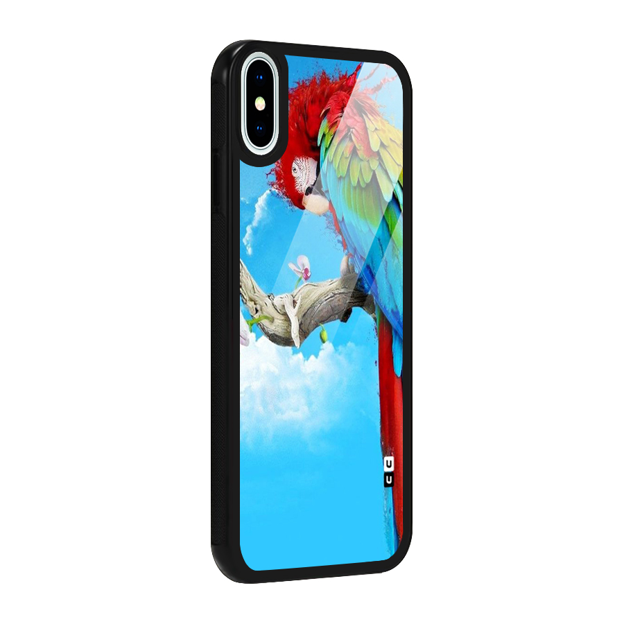 Sky Parrot Glass Back Case for iPhone X
