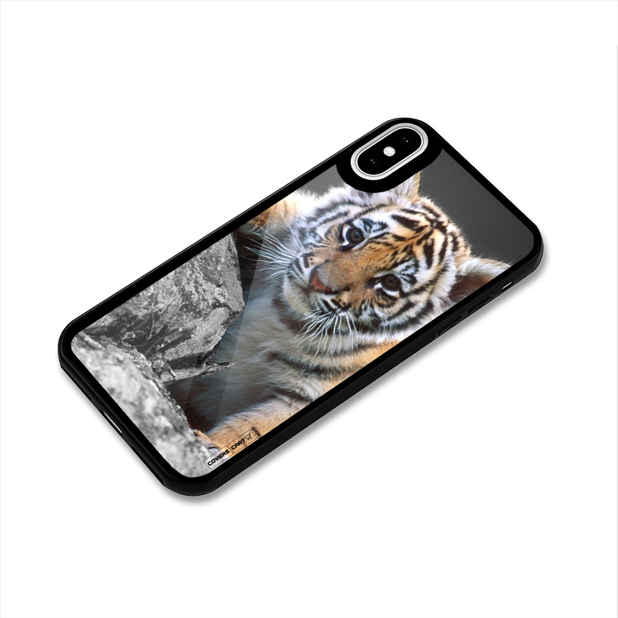 Animal Beauty Glass Back Case for iPhone X