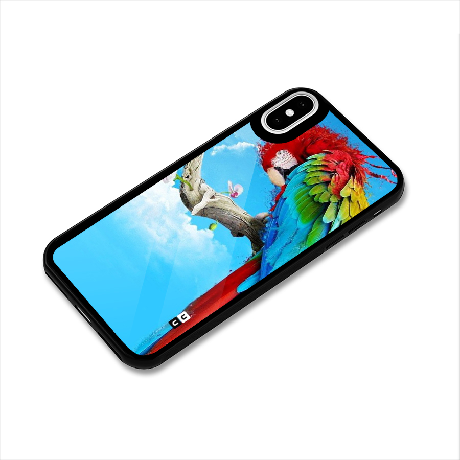 Sky Parrot Glass Back Case for iPhone X