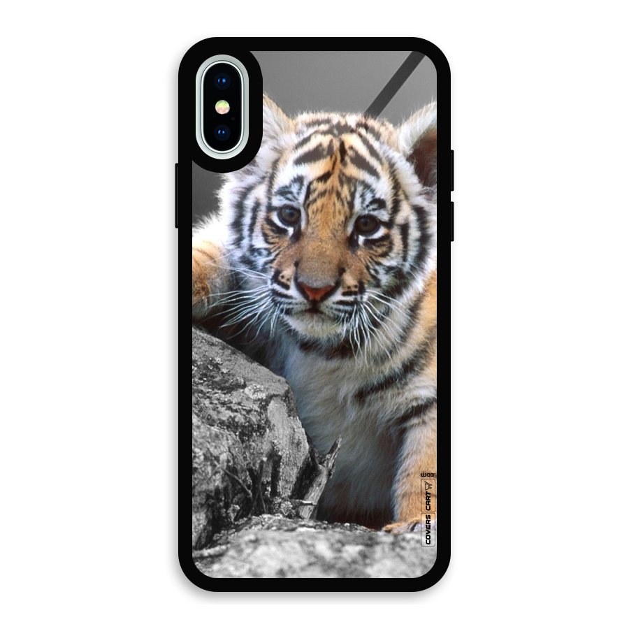 Animal Beauty Glass Back Case for iPhone XS
