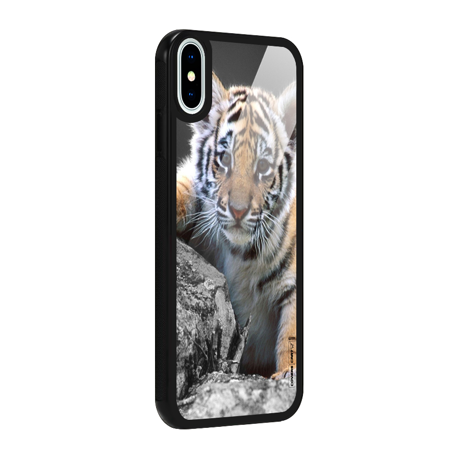 Animal Beauty Glass Back Case for iPhone XS