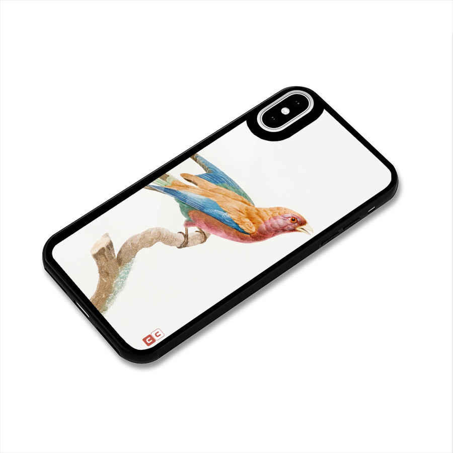 Beautiful Bird Glass Back Case for iPhone XS