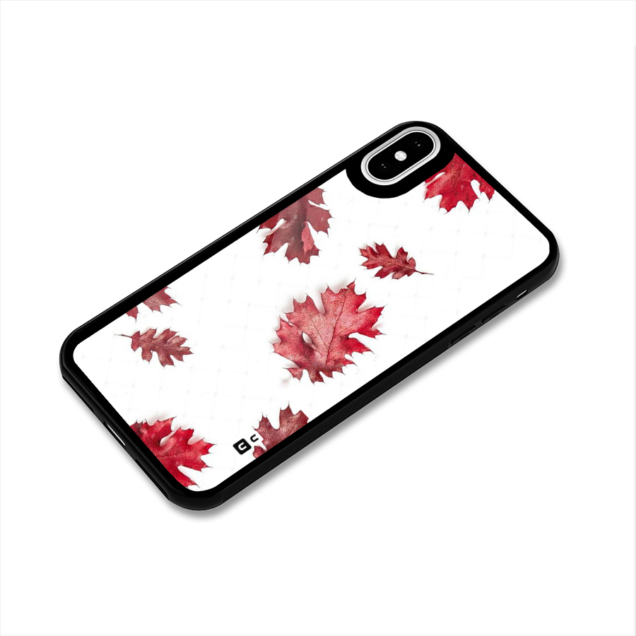 Red Appealing Autumn Leaves Glass Back Case for iPhone XS