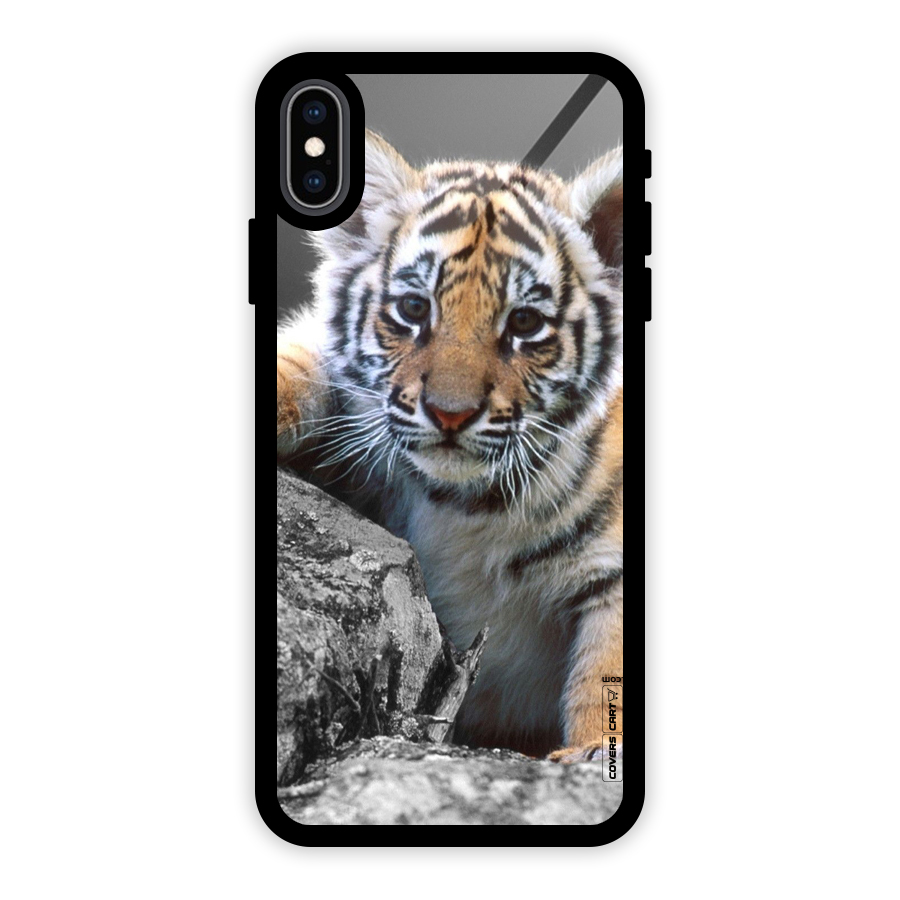 Animal Beauty Glass Back Case for iPhone XS Max