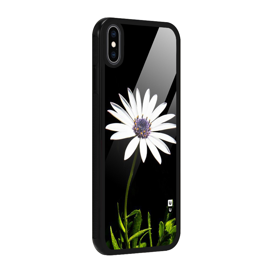 Flower White Spring Glass Back Case for iPhone XS Max