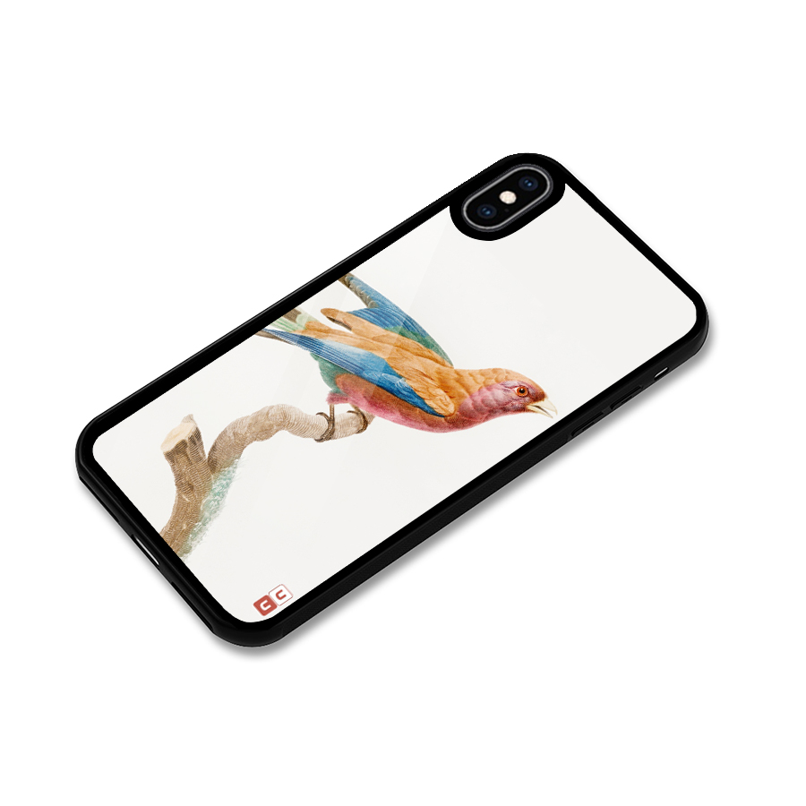 Beautiful Bird Glass Back Case for iPhone XS Max
