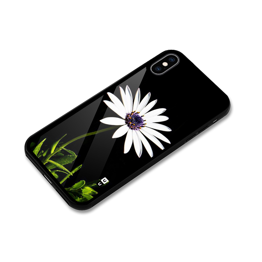 Flower White Spring Glass Back Case for iPhone XS Max
