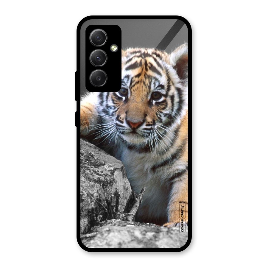 Animal Beauty Glass Back Case for Galaxy A34