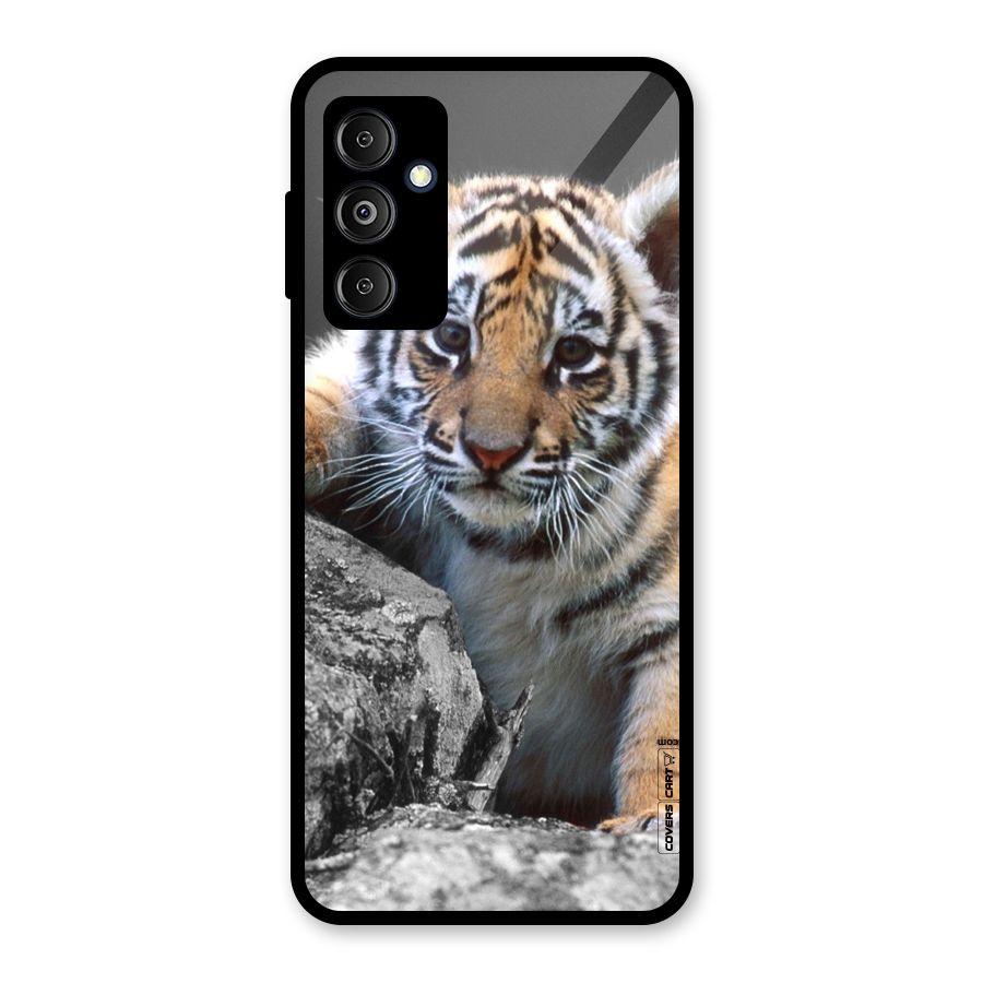Animal Beauty Glass Back Case for Galaxy M14 5G
