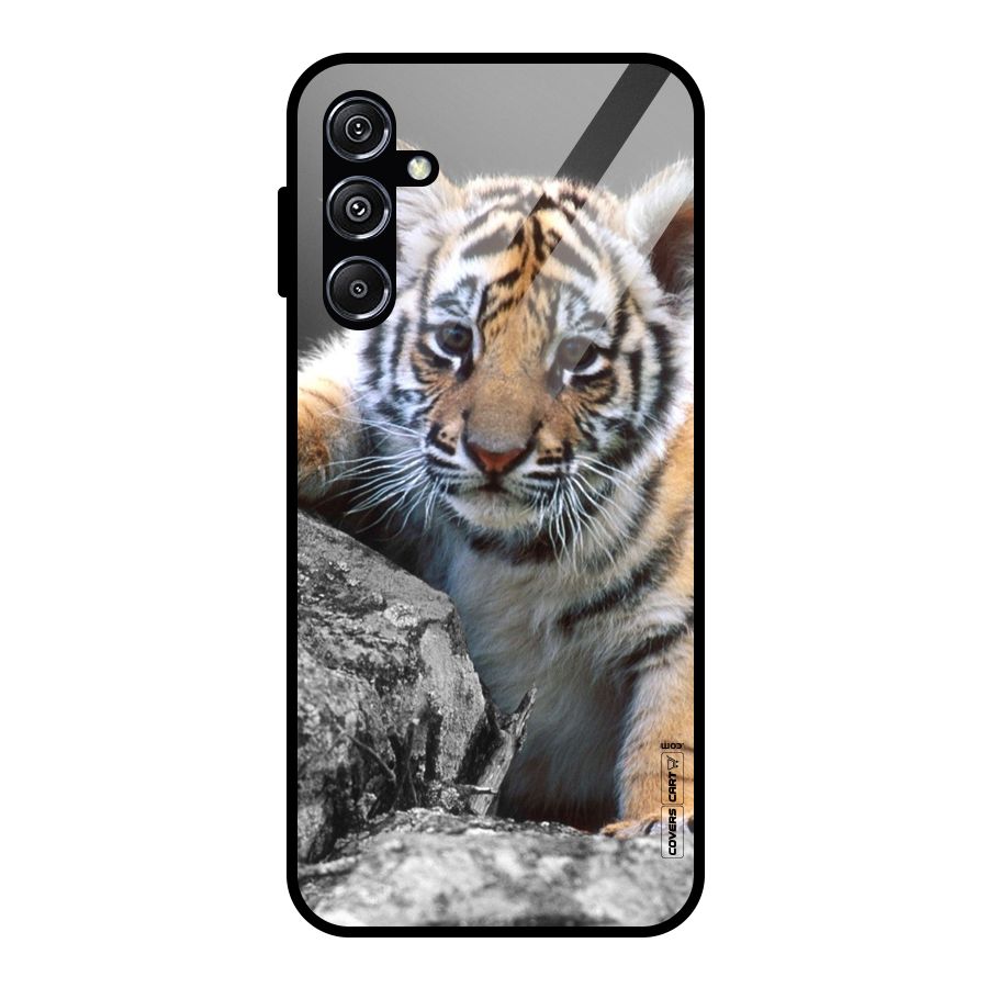 Animal Beauty Glass Back Case for Galaxy M34 5G