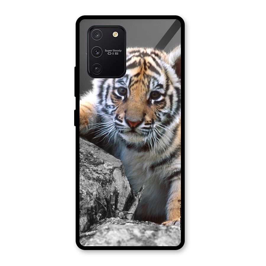 Animal Beauty Glass Back Case for Galaxy S10 Lite
