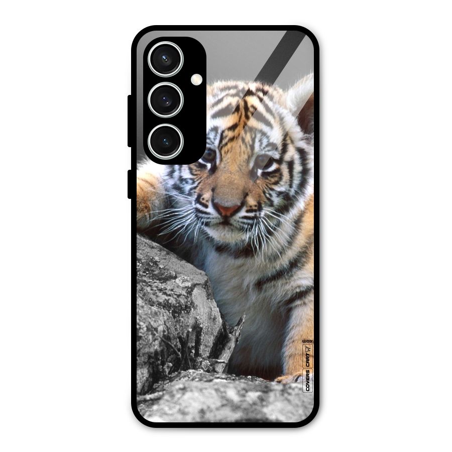 Animal Beauty Glass Back Case for Galaxy S23 FE
