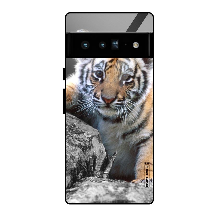 Animal Beauty Glass Back Case for Google Pixel 6 Pro