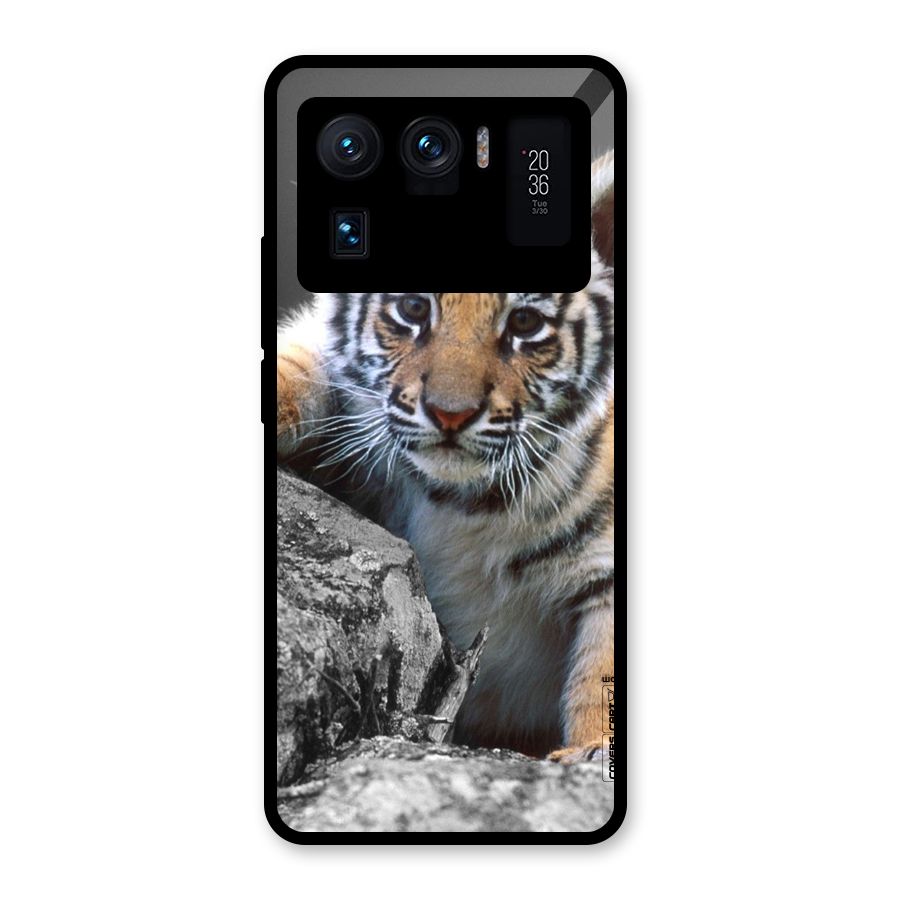 Animal Beauty Glass Back Case for Mi 11 Ultra