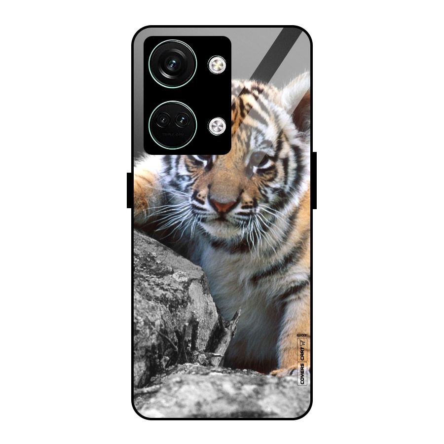 Animal Beauty Glass Back Case for Oneplus Nord 3