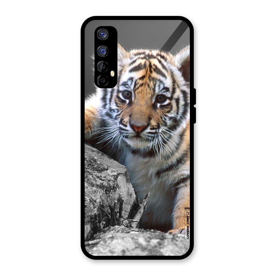 Animal Beauty Glass Back Case for Realme 7