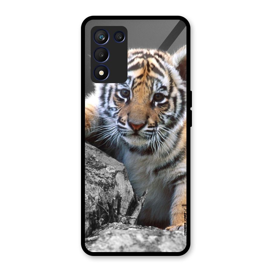 Animal Beauty Glass Back Case for Realme 9 5G Speed