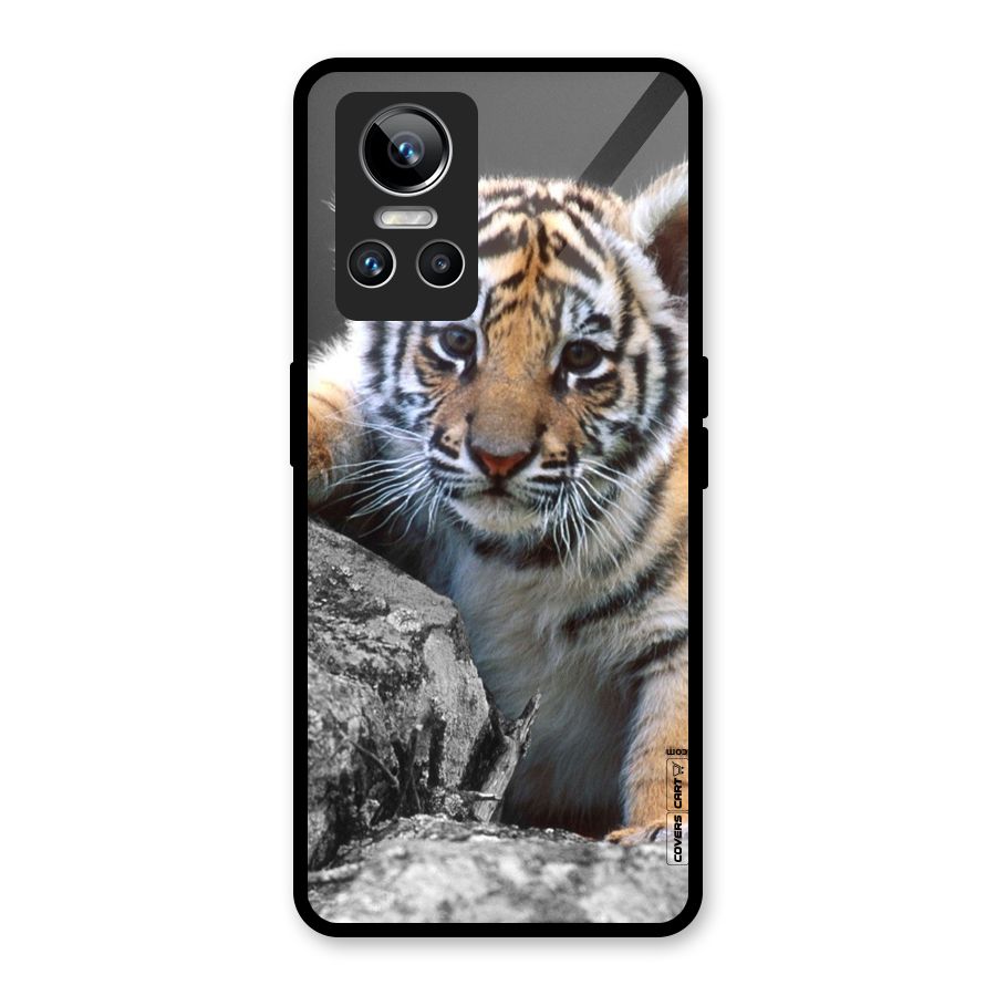 Animal Beauty Glass Back Case for Realme GT Neo 3