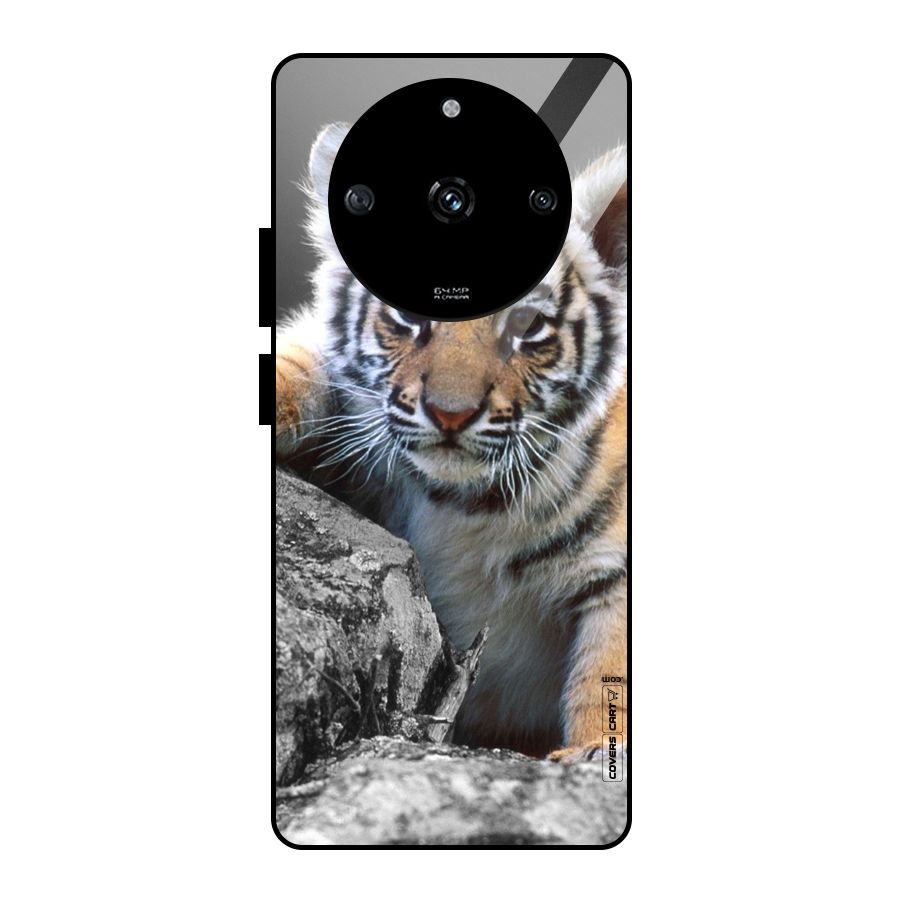 Animal Beauty Glass Back Case for Realme Narzo 60 5G