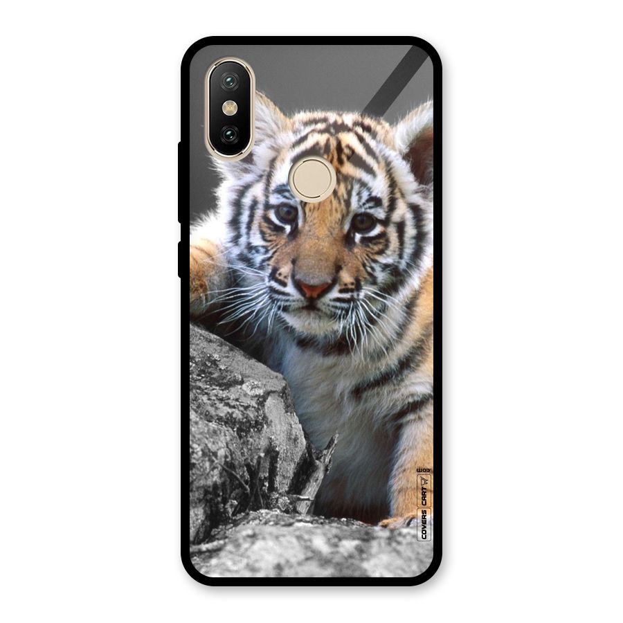 Animal Beauty Glass Back Case for Redmi A2