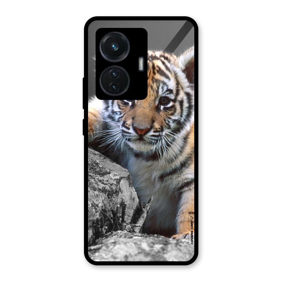 Animal Beauty Glass Back Case for Vivo T1 44W
