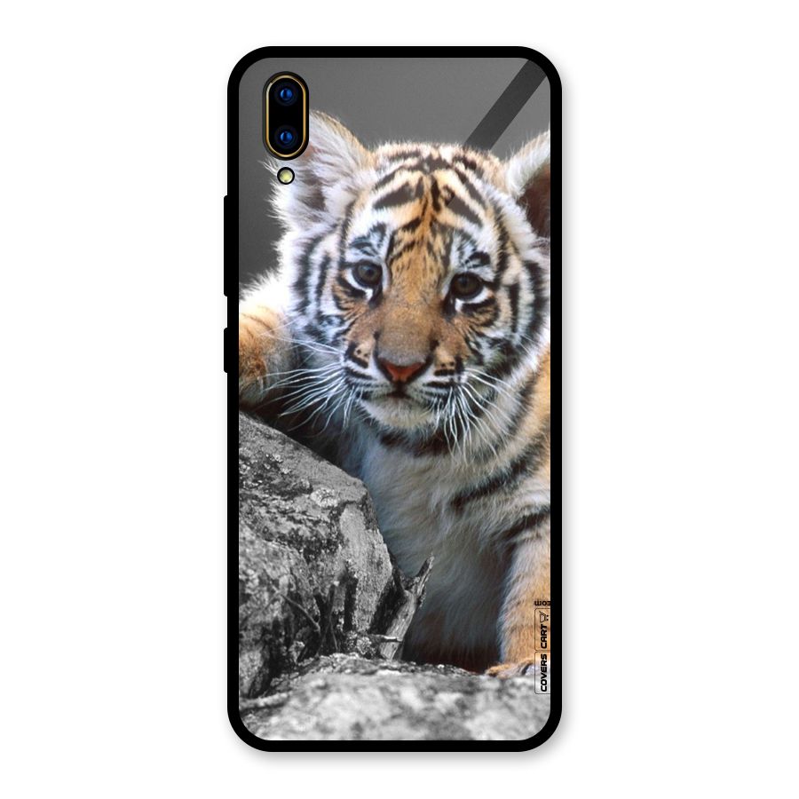 Animal Beauty Glass Back Case for Vivo V11 Pro