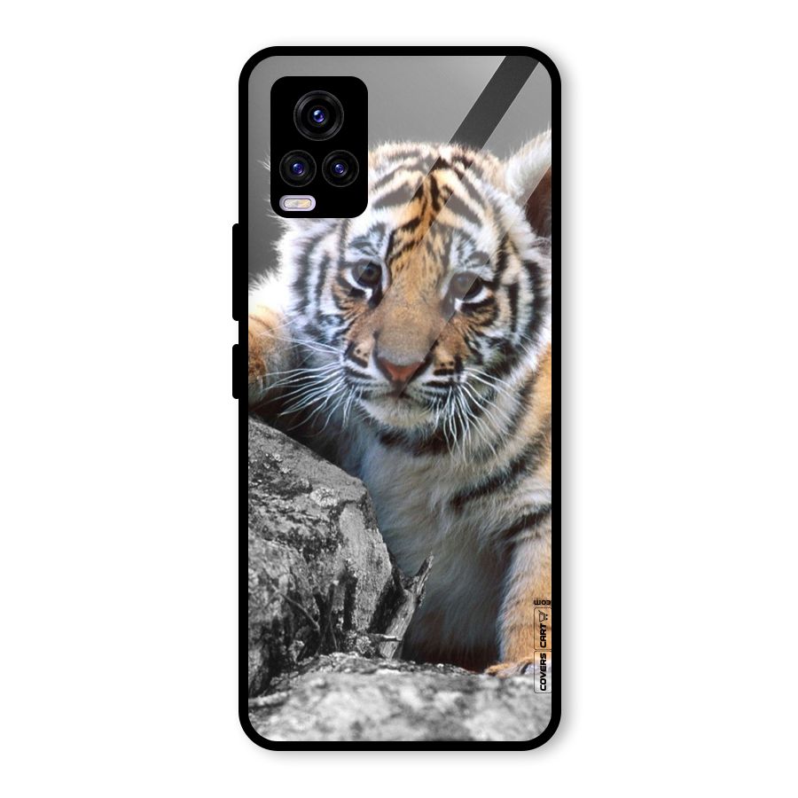 Animal Beauty Glass Back Case for Vivo V20 2021