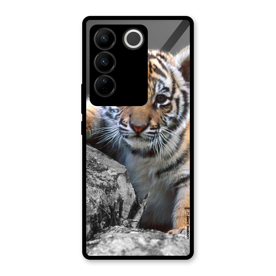Animal Beauty Glass Back Case for Vivo V27