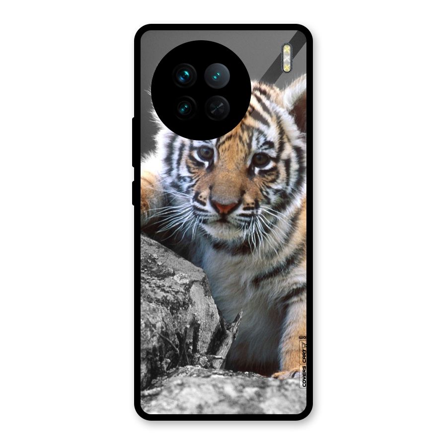 Animal Beauty Glass Back Case for Vivo X90