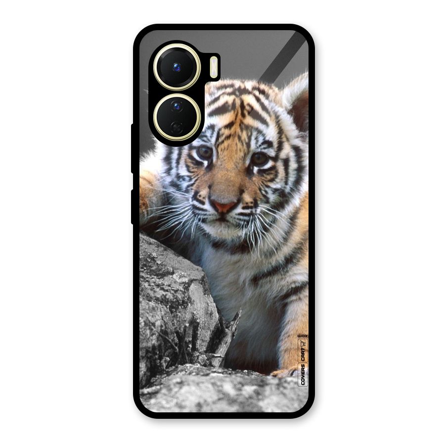 Animal Beauty Glass Back Case for Vivo Y16