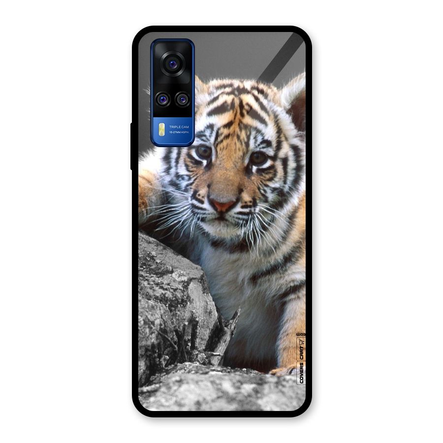Animal Beauty Glass Back Case for Vivo Y31